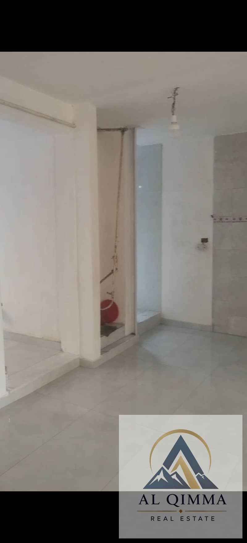 8 297469. jpg