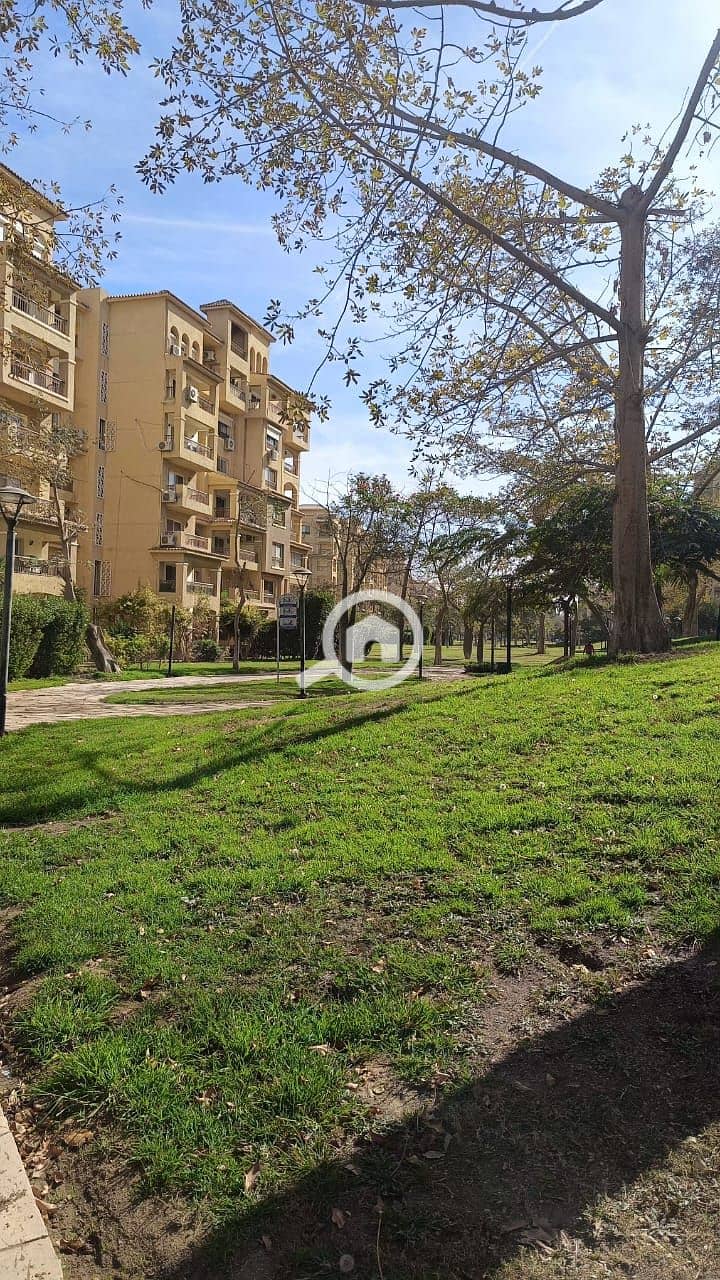 4 22161. jpg