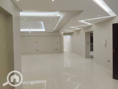 3 Bedroom Flat for Rent in Nasr City, Cairo - 1002253491. jpg