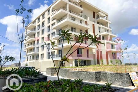 2 Bedroom Flat for Sale in Palm Hills, Alexandria - WhatsApp Image 2026-09-16 at 17.10. 19. jpg