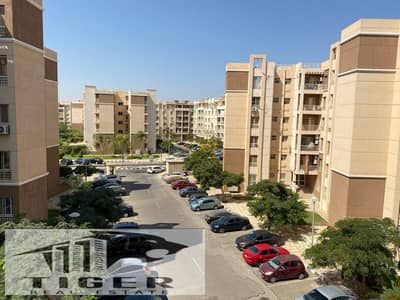 2 Bedroom Flat for Sale in Madinaty, Cairo - 1000128882. jpg 2 Bedroom Flat for Sale in Madinaty, Cairo - 1000128882. jpg