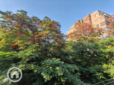 4 Bedroom Flat for Sale in Dokki, Giza - 7d5f4766-eaa3-4409-90fc-cb334ffe2e60. jpg 4 Bedroom Flat for Sale in Dokki, Giza - 7d5f4766-eaa3-4409-90fc-cb334ffe2e60. jpg