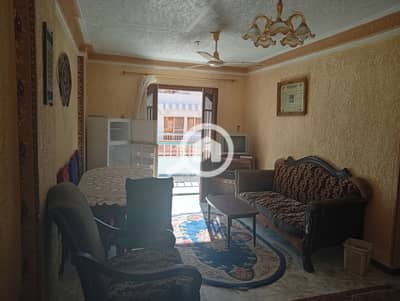 2 Bedroom Apartment for Rent in Nakheel, Alexandria - 679. jpg