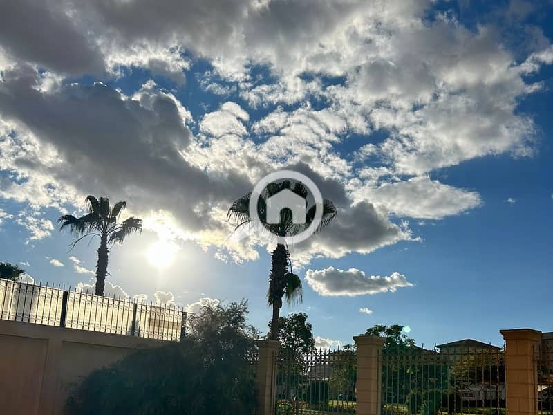 19 IMG_9612. jpg