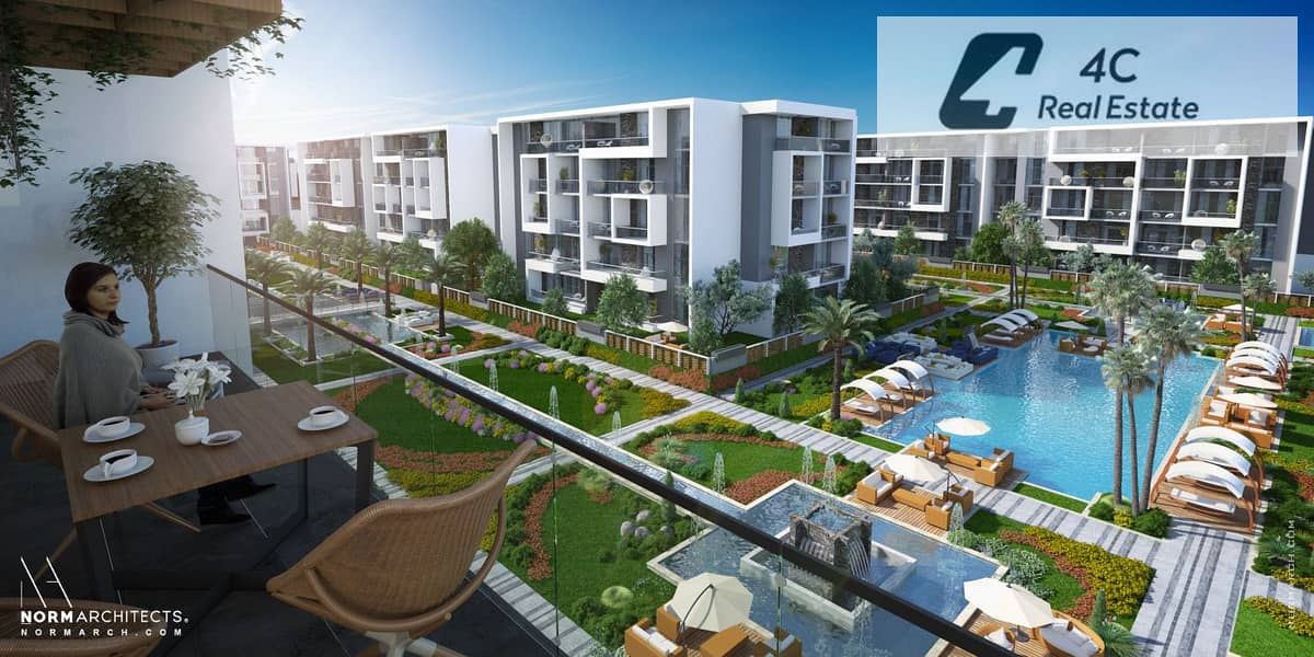 6 patio oro 11. jpg