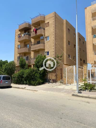 2 Bedroom Apartment for Sale in Badr City, Cairo - WhatsApp Image 2026-09-16 at 4.37. 38 PM. jpeg 2 Bedroom Apartment for Sale in Badr City, Cairo - WhatsApp Image 2026-09-16 at 4.37. 38 PM. jpeg