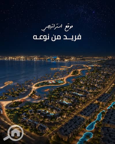 شقة 3 غرف نوم للبيع في المنصورة الجديدة، الدقهلية - WhatsApp Image 2026-09-19 at 6.49. 41 PM. jpeg شقة 3 غرف نوم للبيع في المنصورة الجديدة، الدقهلية - WhatsApp Image 2026-09-19 at 6.49. 41 PM. jpeg