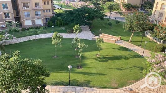 3 Bedroom Apartment for Rent in Madinaty, Cairo - WhatsApp Image 2026-09-19 at 3.16. 55 PM. jpeg