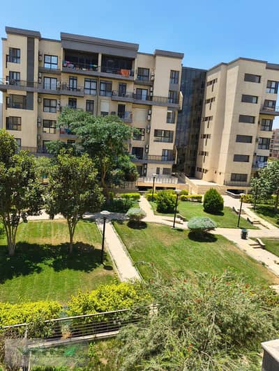 3 Bedroom Flat for Rent in Madinaty, Cairo - WhatsApp Image 2026-09-19 at 16.06. 39. jpeg 3 Bedroom Flat for Rent in Madinaty, Cairo - WhatsApp Image 2026-09-19 at 16.06. 39. jpeg