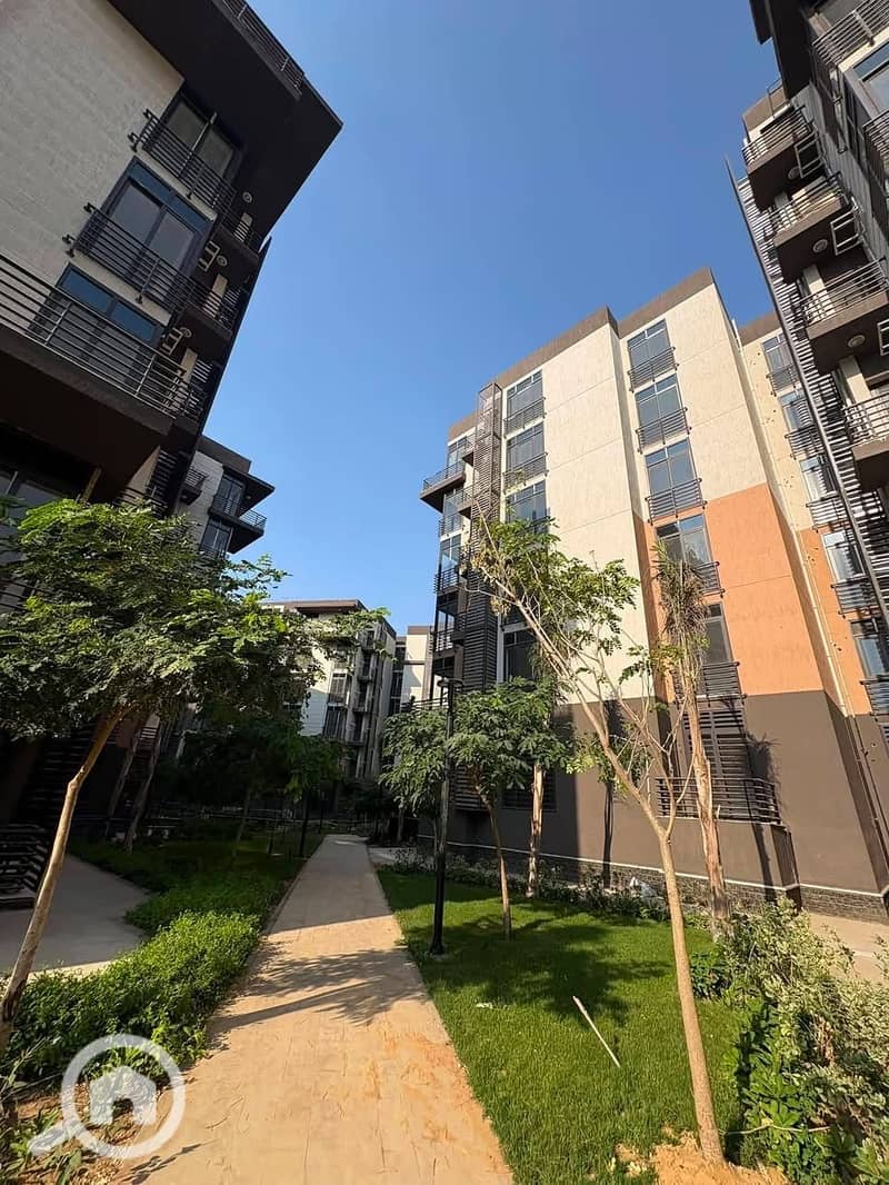 8 IMG_5438. jpg