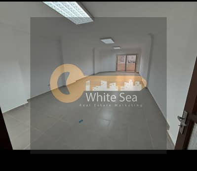 Office for Rent in Smoha, Alexandria - 1001233297. jpg Office for Rent in Smoha, Alexandria - 1001233297. jpg