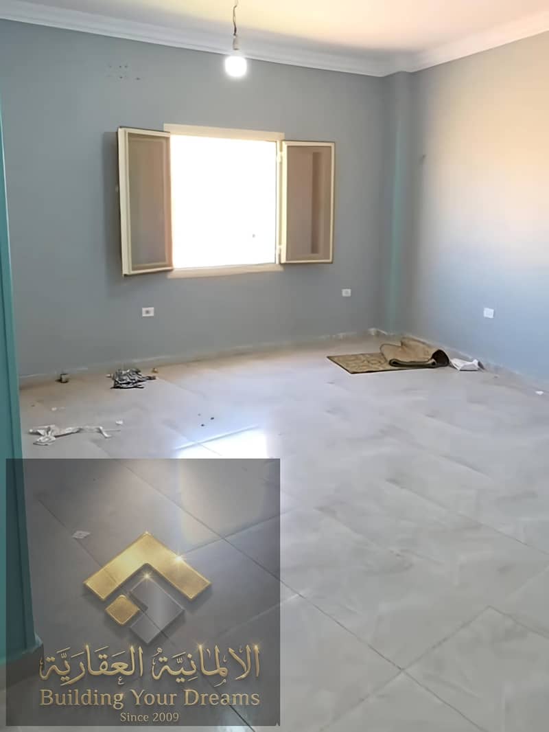 4 234031. jpg