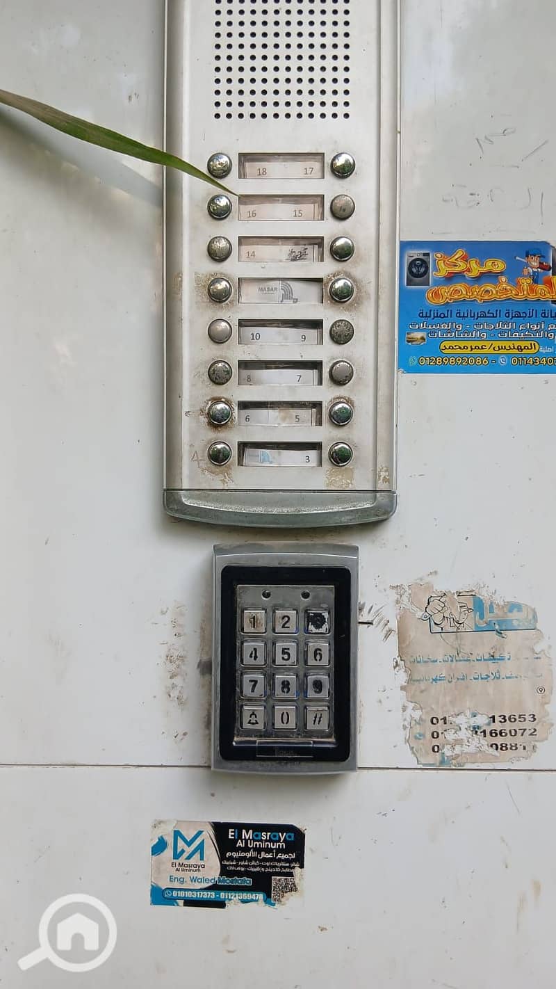 8 1000470686. jpg