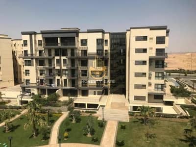 1 Bedroom Apartment for Sale in Madinaty, Cairo - 353853616. jpg 1 Bedroom Apartment for Sale in Madinaty, Cairo - 353853616. jpg