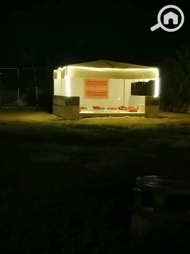 4 439628. jpg