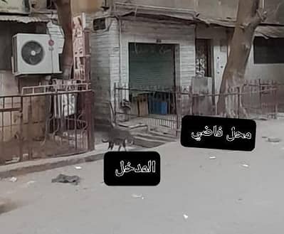 أرض للبيع في المعادي، القاهرة - بيت ارضي و ٣ ادوار للبيع أرض للبيع في المعادي، القاهرة - بيت ارضي و ٣ ادوار للبيع
