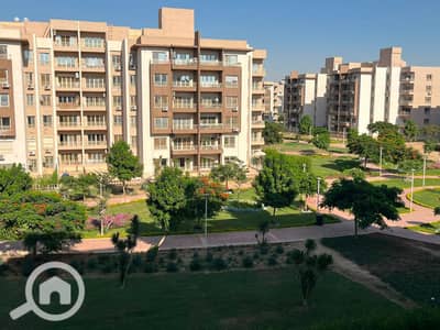 3 Bedroom Flat for Rent in Shorouk City, Cairo - 1000613869. jpg 3 Bedroom Flat for Rent in Shorouk City, Cairo - 1000613869. jpg