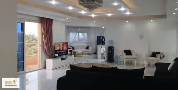 10+ Beds Villa for Sale in Maryotaya, Giza - 7. JPG