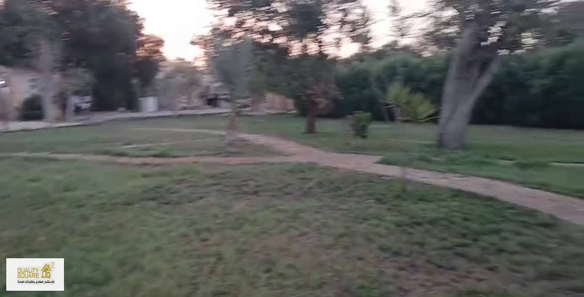 8 55. JPG