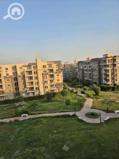 3 Bedroom Flat for Rent in Sheikh Zayed, Giza - 1000902859. jpg 3 Bedroom Flat for Rent in Sheikh Zayed, Giza - 1000902859. jpg