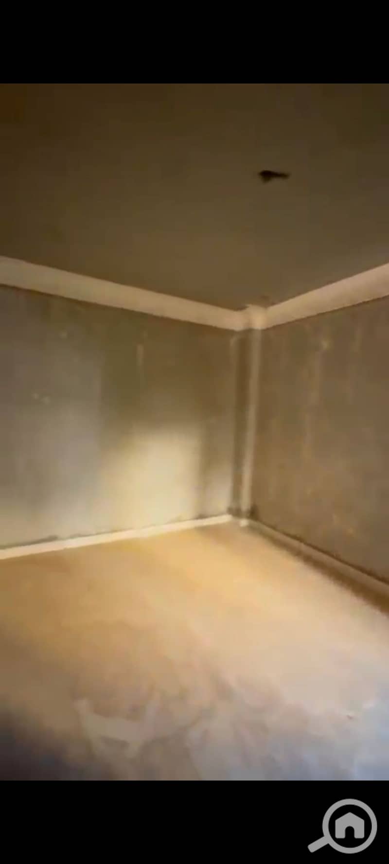 7 1002655269. jpg