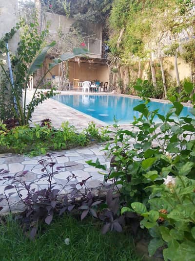 2 Bedroom Villa for Rent in Agami, Alexandria - فيلا للإيجار اليومي في أبو يوسف – العجمي | حمام سباحة وحديقة