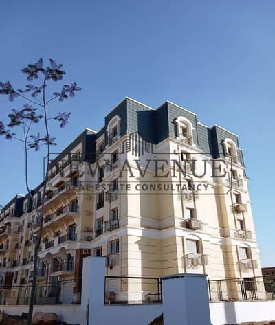 3 Bedroom Apartment for Sale in New Cairo, Cairo - WhatsApp Image 2026-09-17 at 3.50. 59 PM (3). jpeg