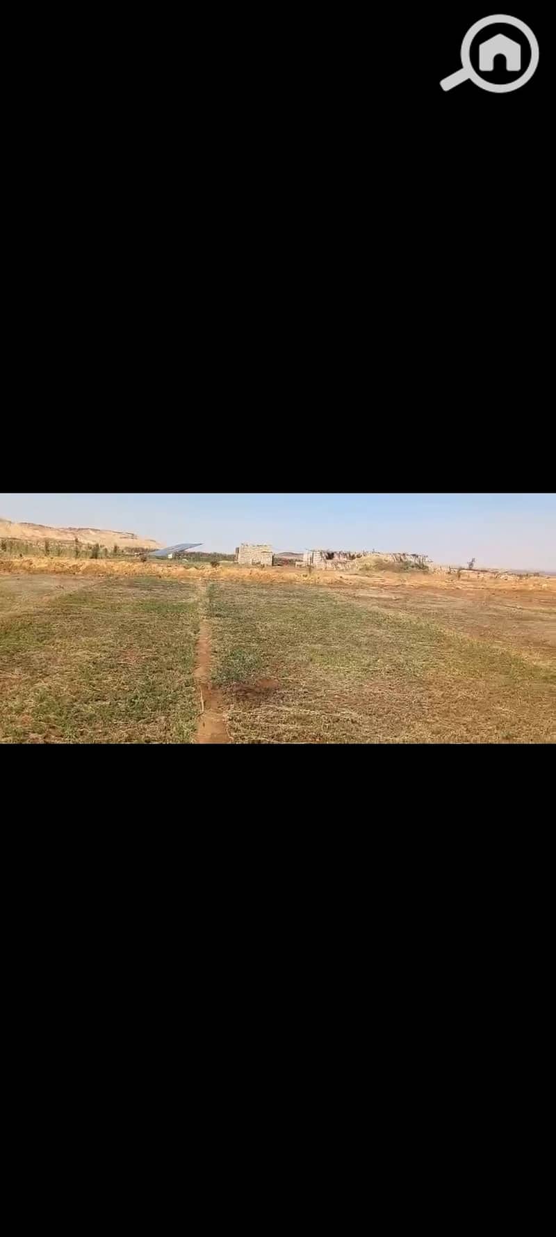 5 1000415367. jpg