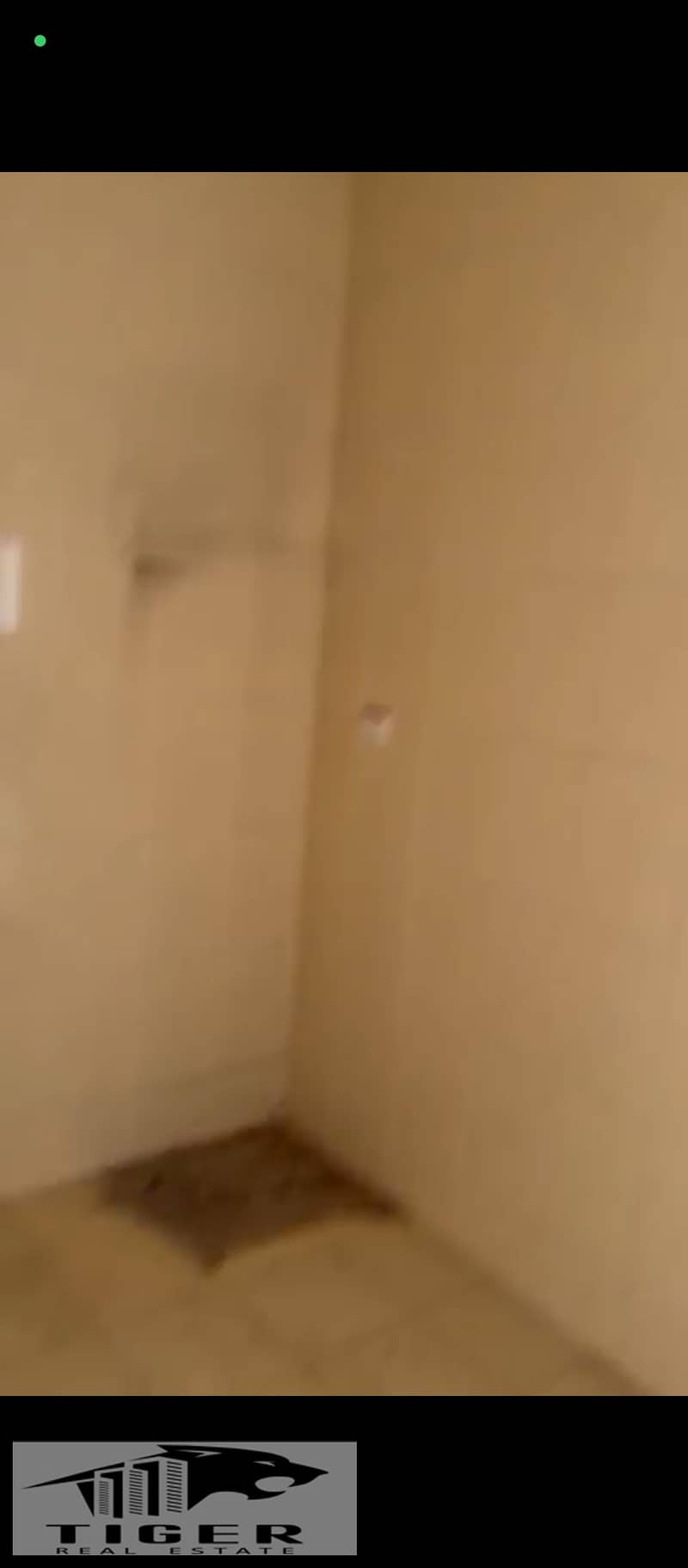 3 1003354138. jpg