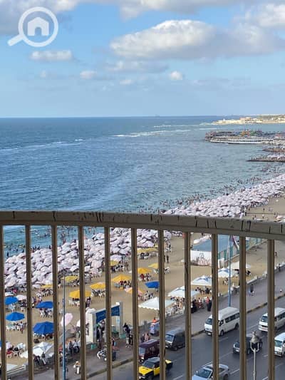 3 Bedroom Flat for Sale in Miami, Alexandria - WhatsApp Image 2026-09-20 at 10.58. 14 AM. jpeg 3 Bedroom Flat for Sale in Miami, Alexandria - WhatsApp Image 2026-09-20 at 10.58. 14 AM. jpeg