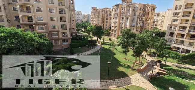 3 Bedroom Flat for Rent in Madinaty, Cairo - 1003354366. jpg