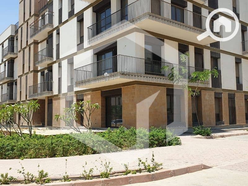 9 Courtyard Sodic 12. jpg
