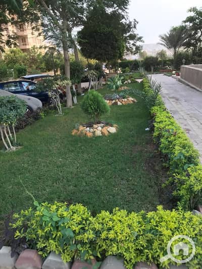 فلیٹ 2 غرفة نوم للايجار في زهراء المعادى، القاهرة - 1000188980. jpg فلیٹ 2 غرفة نوم للايجار في زهراء المعادى، القاهرة - 1000188980. jpg