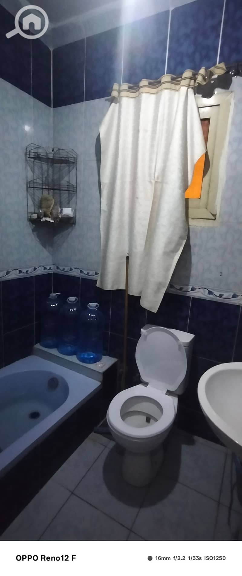 7 1000283528. jpg