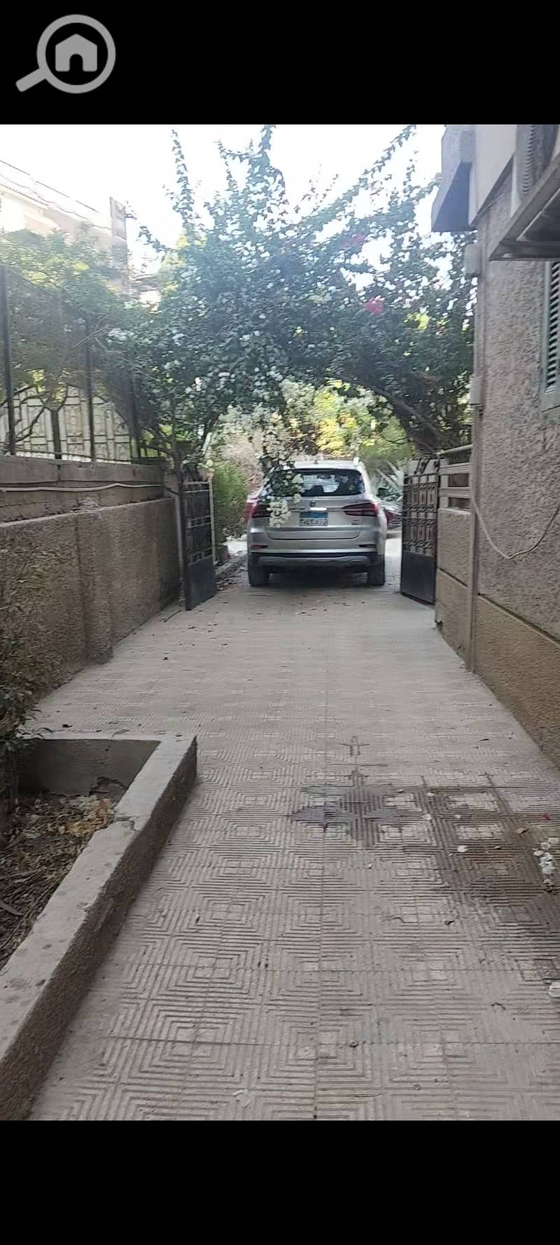 6 1000307333. jpg