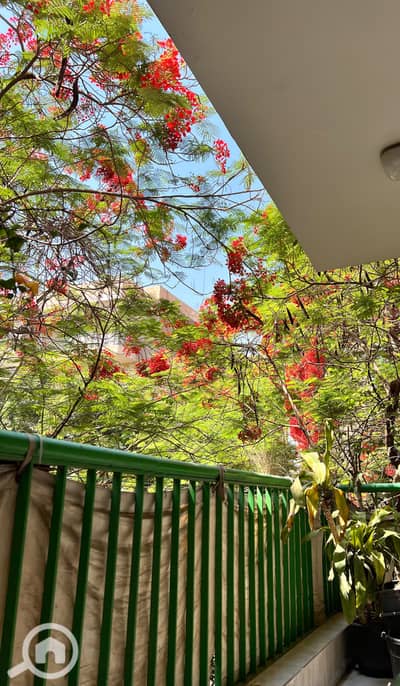 2 Bedroom Flat for Rent in Maadi, Cairo - 1000315071. jpg 2 Bedroom Flat for Rent in Maadi, Cairo - 1000315071. jpg