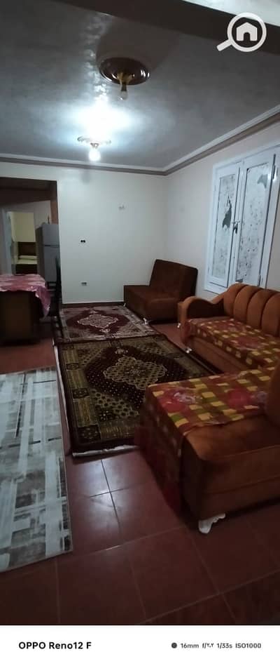 2 Bedroom Apartment for Rent in Maadi, Cairo - 1000314900. jpg 2 Bedroom Apartment for Rent in Maadi, Cairo - 1000314900. jpg
