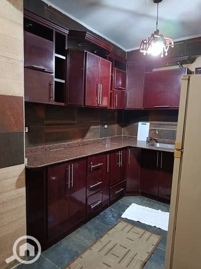 3 Bedroom Flat for Rent in Nasr City, Cairo - 559212. jpg 3 Bedroom Flat for Rent in Nasr City, Cairo - 559212. jpg