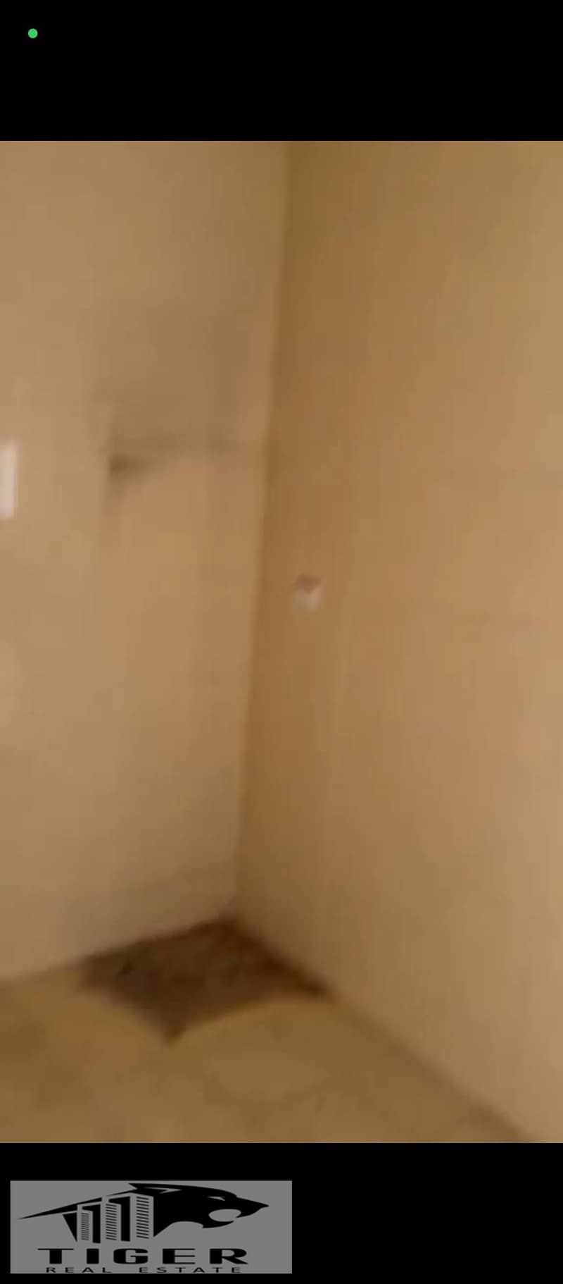 3 265786. jpg