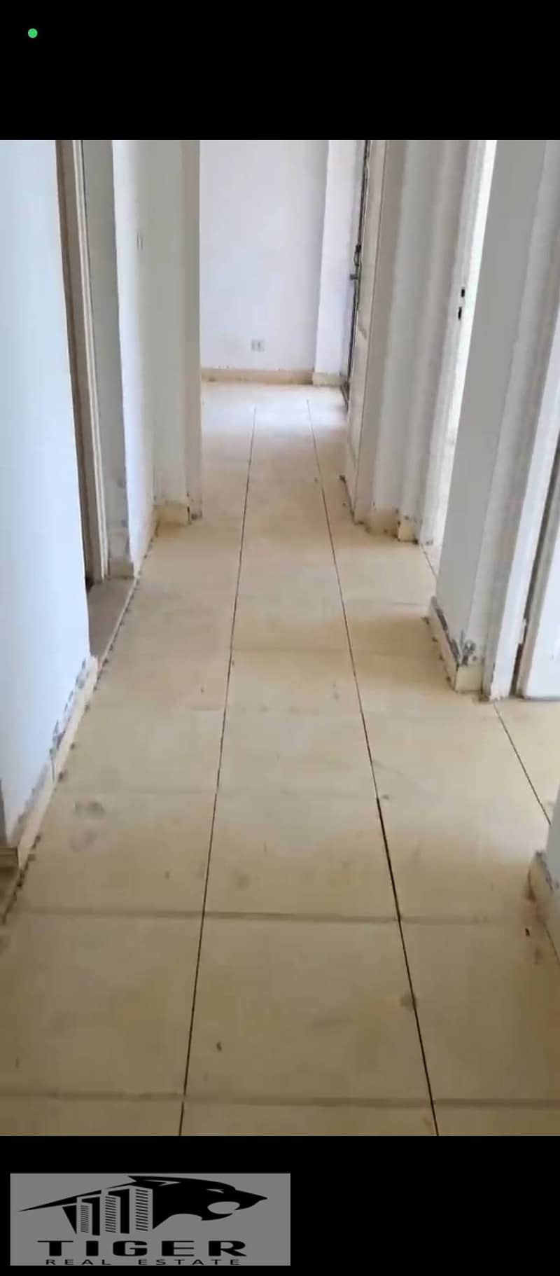 4 265785. jpg