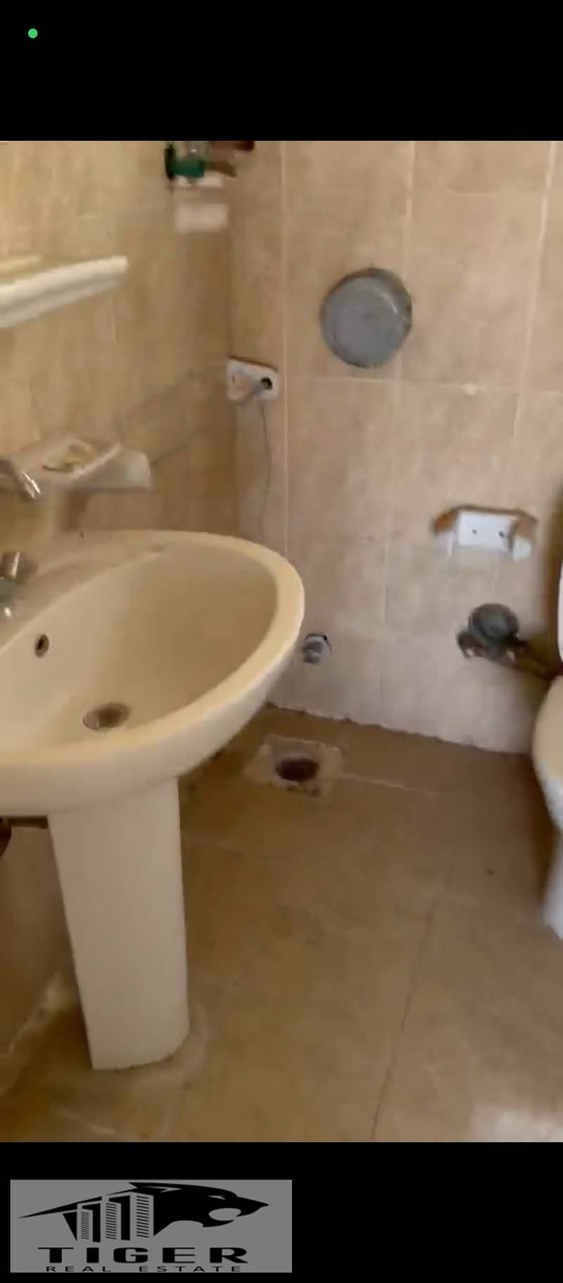 6 265783. jpg