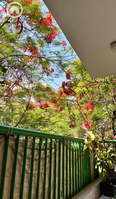2 Bedroom Flat for Rent in Maadi, Cairo - 1000315071. jpg 2 Bedroom Flat for Rent in Maadi, Cairo - 1000315071. jpg