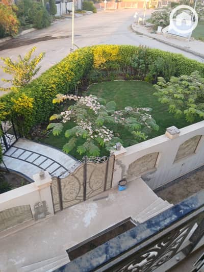 فلیٹ 3 غرف نوم للايجار في 6 اكتوبر، الجيزة - 1000259099. jpg فلیٹ 3 غرف نوم للايجار في 6 اكتوبر، الجيزة - 1000259099. jpg