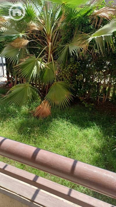 فلیٹ 2 غرفة نوم للايجار في القاهرة الجديدة، القاهرة - 1000750057. jpg فلیٹ 2 غرفة نوم للايجار في القاهرة الجديدة، القاهرة - 1000750057. jpg