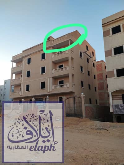 فلیٹ 2 غرفة نوم للبيع في القاهرة الجديدة، القاهرة - WhatsApp Image 2026-09-20 at 1.39. 04 PM (3). jpeg فلیٹ 2 غرفة نوم للبيع في القاهرة الجديدة، القاهرة - WhatsApp Image 2026-09-20 at 1.39. 04 PM (3). jpeg