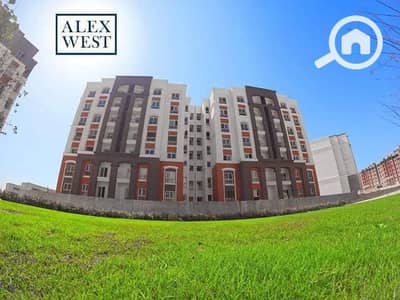 3 Bedroom Apartment for Sale in Agami, Alexandria - WhatsApp Image 2026-08-22 at 10.28. 11 (5). jpeg 3 Bedroom Apartment for Sale in Agami, Alexandria - WhatsApp Image 2026-08-22 at 10.28. 11 (5). jpeg
