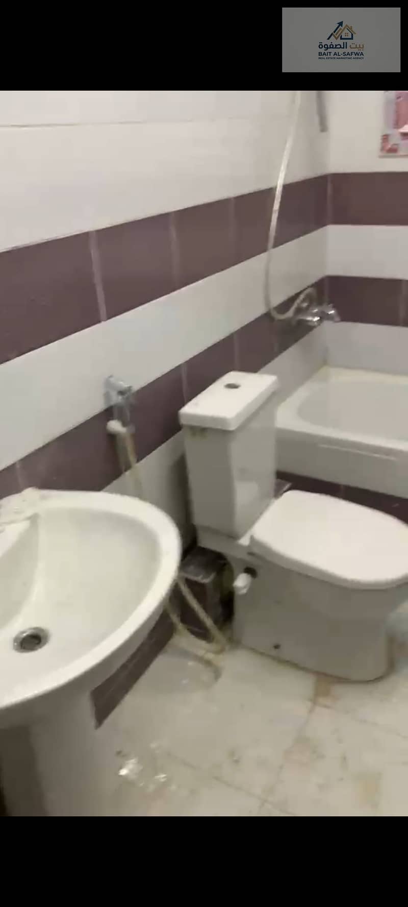 7 169966. jpg