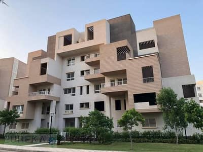 فلیٹ 3 غرف نوم للايجار في مدينتي، القاهرة - 1001050350. jpg فلیٹ 3 غرف نوم للايجار في مدينتي، القاهرة - 1001050350. jpg