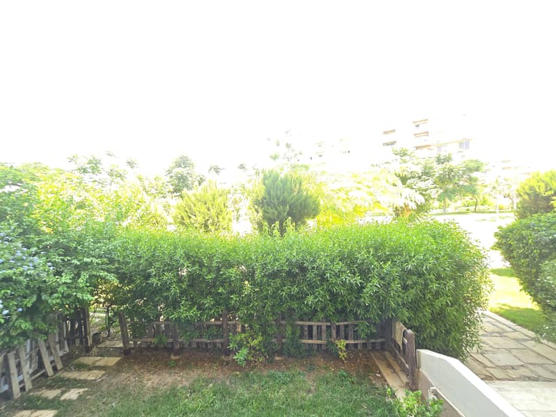 1000233558. jpg 1000233558. jpg