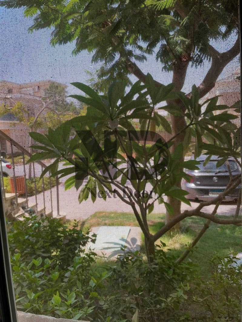 8 WhatsApp Image 2026-09-19 at 11.31. 19 AM. jpeg